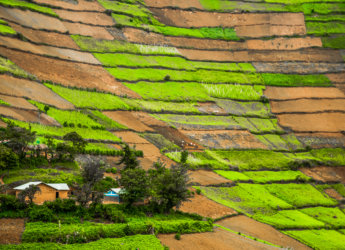 The typpical landscape of the Kabale District in Southern Uganda with homesteads within worked plots of land against the fertile hills from below to right at the top of the hills.